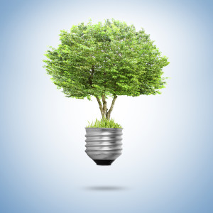 Idea ,light bulb Alternative energy concept